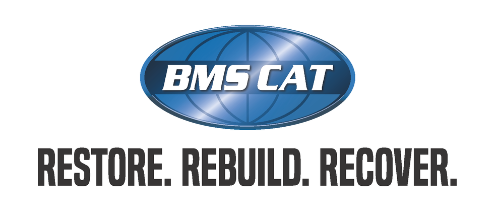 bms cat